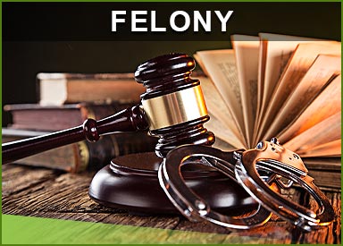 Felony Crime Defense