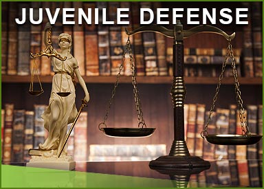 Juvenile Crime Defense